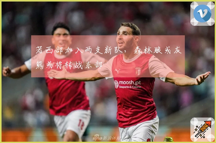 若西部加入两支新队，森林狼或灰熊或将转战东部