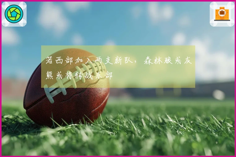 若西部加入两支新队，森林狼或灰熊或将转战东部